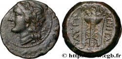 SICILE - TAUROMENIUM Unité