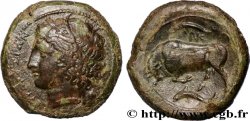 SICILE - SYRACUSE Litra