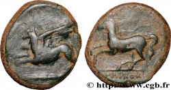 SICILE - ALAISA (KAINON) Hemilitron