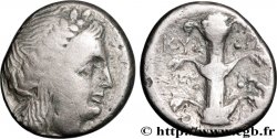 CYRÉNAÏQUE - CYRÈNE Statère ou didrachme