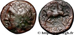 THESSALY - GYRTON Trichalque