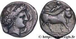 CAMPANIE - NEAPOLIS (NAPLES) Nomos, statère ou didrachme