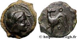 SICILE - ERYX Onkia