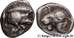 MYSIE - CYZIQUE Hemiobole