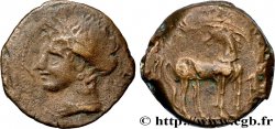 ZEUGITANE - CARTHAGE Double shekel ou 1,5 shekel