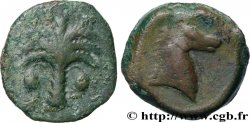 ZEUGITANE - CARTHAGE Unité
