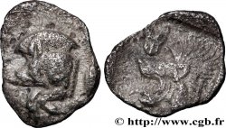 MYSIE - CYZIQUE Hemiobole