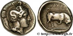 LUCANIA - THOURIOI Nomos, statère ou didrachme XF