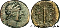 TAURIC CHERSONESE - PANTICAPEUM Unité
