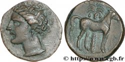 ZEUGITANE - CARTHAGE Unité