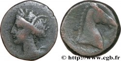 ZEUGITANIA - CARTAGE Shekel