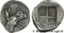 IONIE - TÉOS Tartemorion