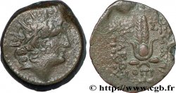 SYRIE - ROYAUME SÉLEUCIDE - CLÉOPÂTRE THÉA et ANTIOCHUS VIII GRYPUS Unité