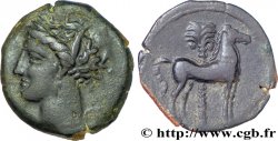 ZEUGITANE - CARTHAGE Unité