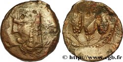 ZEUGITANIEN - KARTHAGO Double shekel