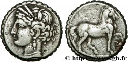 ZEUGITANE - CARTHAGE Double shekel
