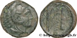 MACEDONIA - MACEDONIAN KINGDOM - ALEXANDER III THE GREAT Unité de bronze