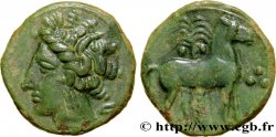ZEUGITANE - CARTHAGE Unité