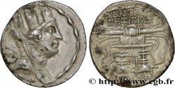 SÍRIA - SELEUCIA Y PIERIA - SELEUCIA Tétradrachme stéphanophore MBC