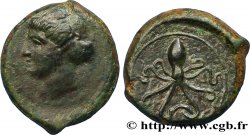 SICILY - SYRACUSE Tetras ou trias