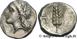 LUCANIA - METAPONTION Nomos, statère ou didrachme