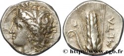 LUCANIA - METAPONTO Nomos, statère ou didrachme