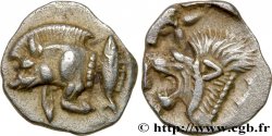 MYSIE - CYZIQUE Hemiobole