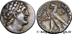 EGIPTO - EGIPTO PTOLEMAICO - PTOLEMEO VIII EVERGETES II Tétradrachme