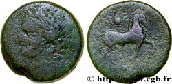 ZEUGITANE - CARTHAGE quinze shekels