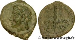 SICILY - SYRACUSE Tetras
