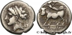 CAMPANIA - NEAPOLIS Nomos ou didrachme