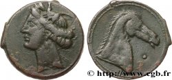 ZEUGITANA - CARTHAGE Double shekel