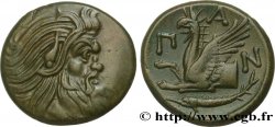 TAURIC CHERSONESE - PANTICAPEUM Unité