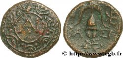 MACÉDOINE - ROYAUME DE MACÉDOINE - DÉMÉTRIUS POLIORCÈTE Demi-unité