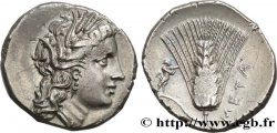 LUCANIE - MÉTAPONTE Nomos, statère ou didrachme
