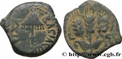 GIUDAE - REGNO DE HERODIUS - AGRIPPA IAgriip Prutah