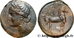 ZEUGITANIEN - KARTHAGO Triple shekel
