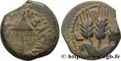 JUDÉE - ROYAUME D HÉRODE - AGRIPPA Ier Prutah