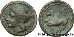 SICILE - SYRACUSE Hemilitron TTB+/TTB