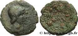 SICILY - PANORMUS Bronze