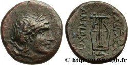 SIRIA - REINO DE SIRIA - ANTIOCOS II TEO Bronze