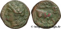 CAMPANIA - NEAPOLIS Litra