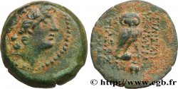 SIRIA - REINO DE SIRIA - CLEOPATRA THEA y ANTIOCOS VIII GRIPOS Unité B