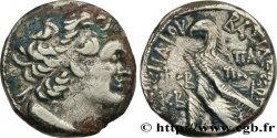 EGYPT - LAGID OR PTOLEMAIC KINGDOM - PTOLEMY XII NEOS DIONYSOS Tétradrachme