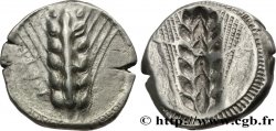 LUCANIA - METAPONTION Nomos, statère