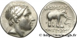SIRIA - REGNO DI SIRIA - ANTIOCO III IL GRANDE Drachme