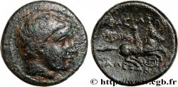 MACEDONIA - REGNO DE MACEDONIA - FILIPPO III ARRIDAIOS Demi unité de bronze