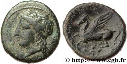 SICILE - SYRACUSE Hemilitron TTB