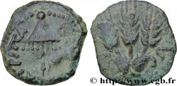 JUDÉE - ROYAUME D HÉRODE - AGRIPPA Ier Prutah TTB