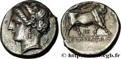 CAMPANIE - NEAPOLIS (NAPLES) Nomos, statère ou didrachme TTB+/SUP
